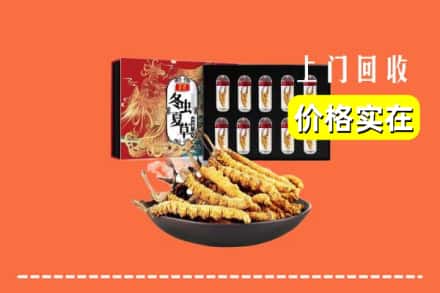 阳春市回收冬虫夏草