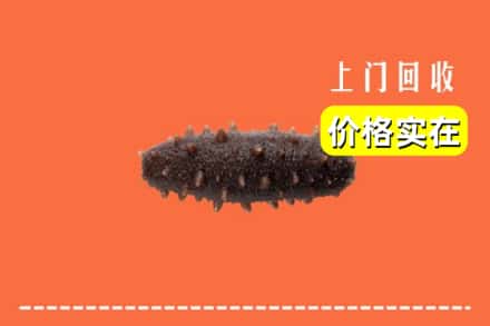 阳春市回收海参