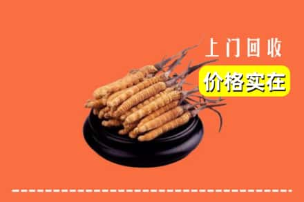 阳春市回收冬虫夏草