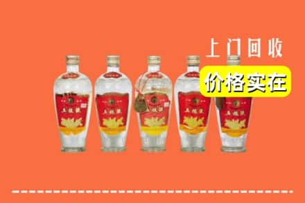 阳春市回收老五粮液